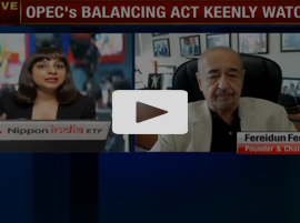 Miscalculation by countries has led to power crisis - Dr. Fesharaki